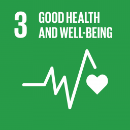 Cover of Goal 03 Good health and well being
