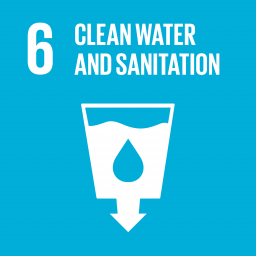 Cover of Goal 6 Clean water and sanitation