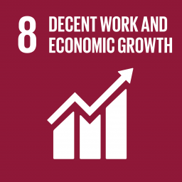 Cover of Goal 8 Decent work and economic growth