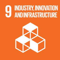 Cover of Goal 9 Industry, innovation and infrastructure