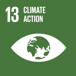 Cover of Goal 13 Climate action