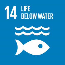 Cover of Goal 14 Life below water