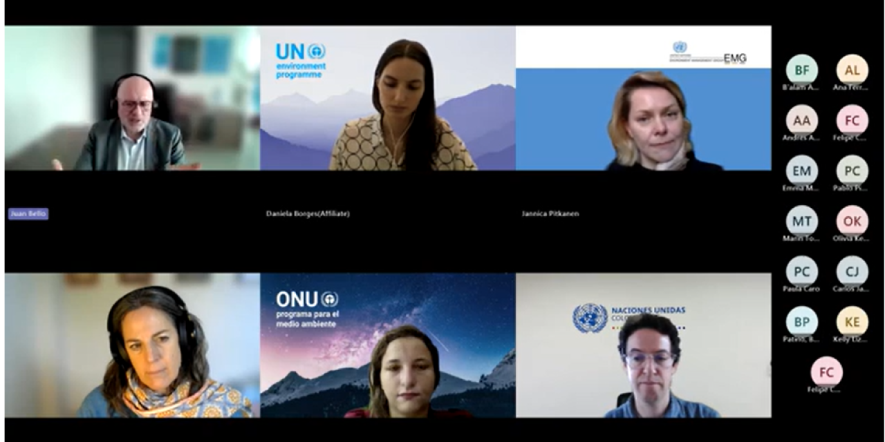 Implementing the UN common approach to biodiversity and advancing biodiversity action in Latin America and the Caribbean