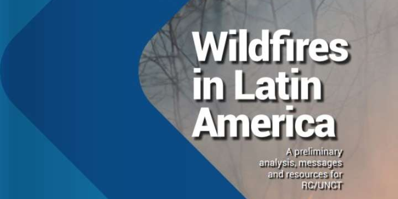 Wildfires in Latin America: A preliminary analysis, messages and resources 