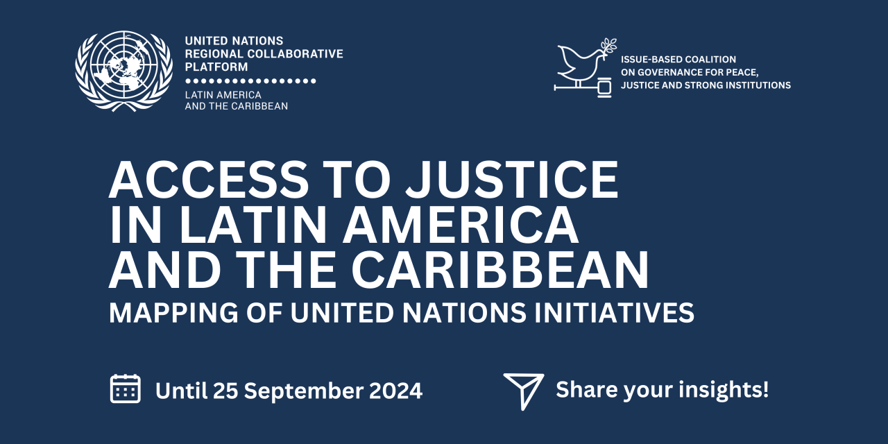 Survey Access to Justice