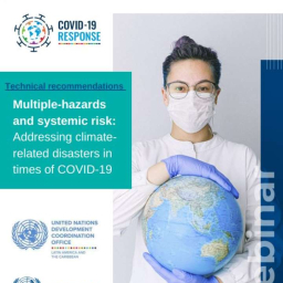Multiple-hazards and systemic risk: Addressing climate-related disasters in times of COVID-19