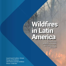 Wildfires in Latin America: A preliminary analysis, messages and resources