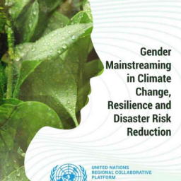 Gender Mainstreaming in CC and DRR
