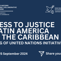 Survey Access to Justice