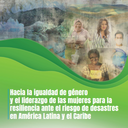 Igualdad Genero DRR LAC