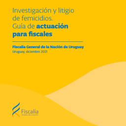 Investigacion Femicidios
