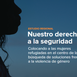 Nuestro derecho a la seguridad