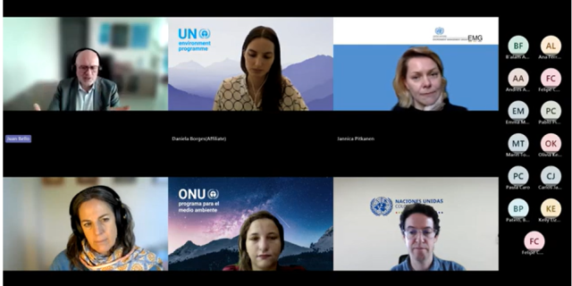 Implementing the UN common approach to biodiversity and advancing biodiversity action in Latin America and the Caribbean