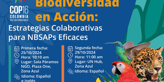 COP16 ES