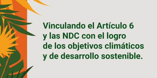 NDC Article 6
