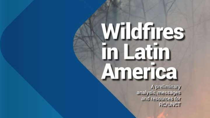 Wildfires in Latin America: A preliminary analysis, messages and resources 