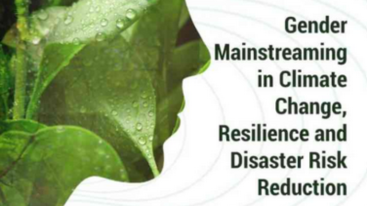 Gender Mainstreaming in CC and DRR