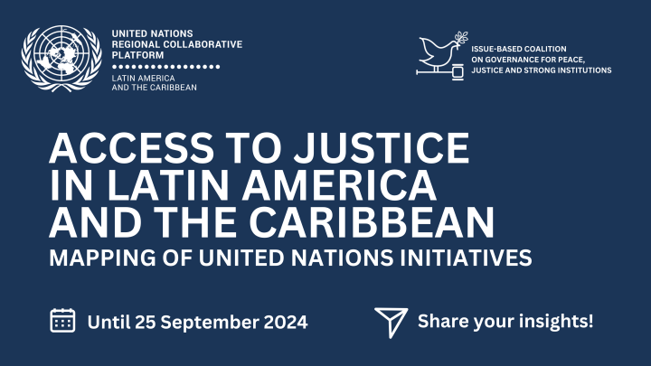 Survey Access to Justice