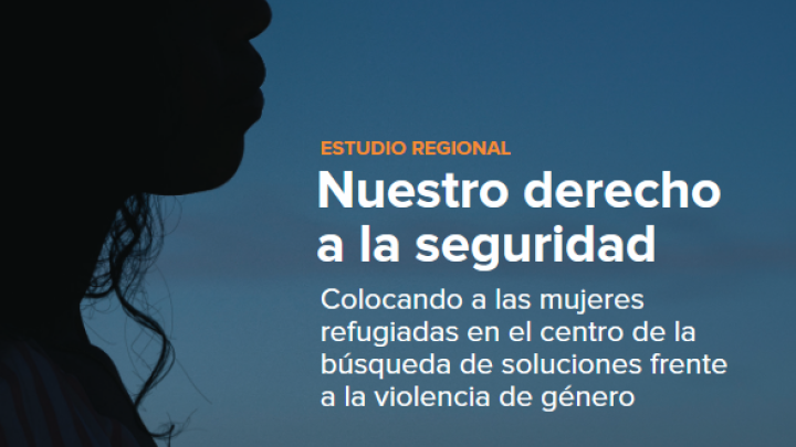 Nuestro derecho a la seguridad