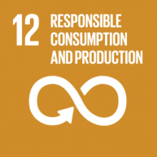 Cover of Goal 12 Responsible consumption and production