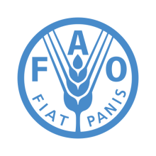 FAO logo