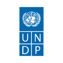 UNDP logo